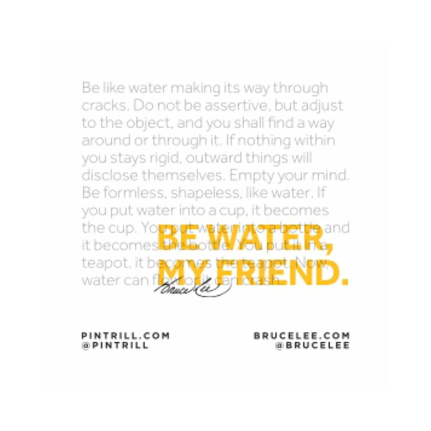 Bruce Lee X PINTRILL Wing Star Pin - Image 3