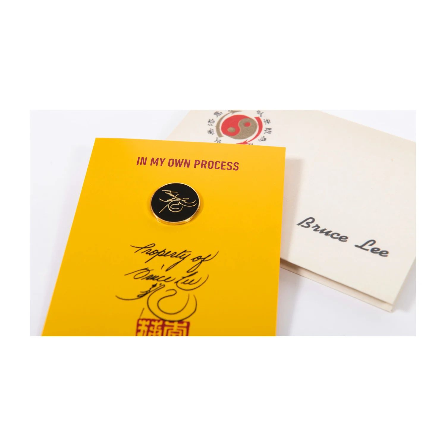 COLLECTOR COPIES: In My Own Process SIGNED Book - Image 11