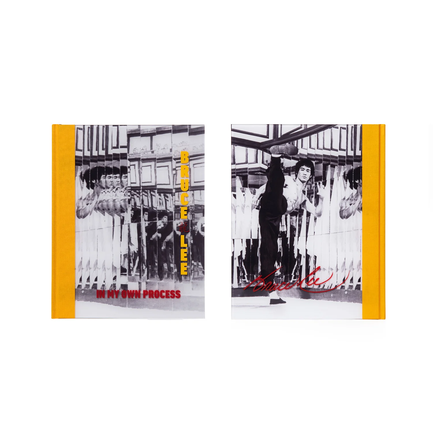 COLLECTOR COPIES: In My Own Process SIGNED Book - Image 3